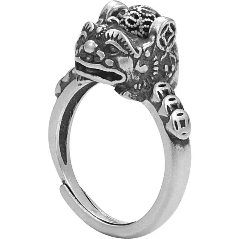 Anello girevole con moneta di rame PiXiu, portafortuna FengShui, Buddha Stones - Image 7