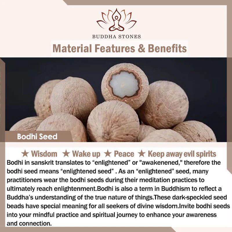 Braccialetto di protezione con leone danzante , Buddha Stones di avorio, seme di Bodhi, pietre di Buddha, argento lucido e ossidiana - Image 18