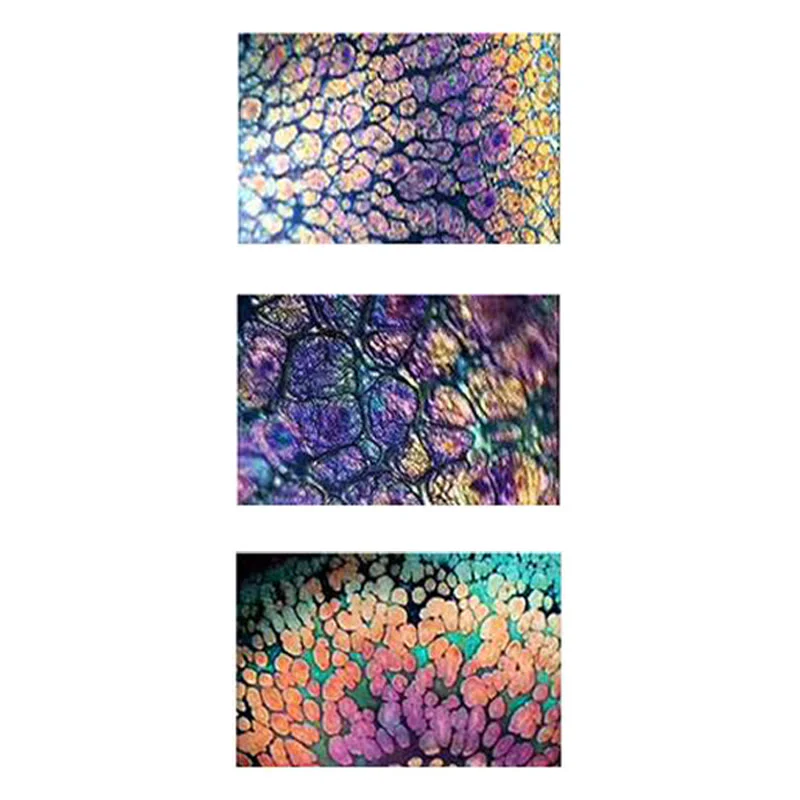 Buddha Stones fatte a mano Fiori di ciliegio Sakura Design Tazza da tè in ceramica cinese Jianzhan Tazza da tè Kung Fu - Image 17