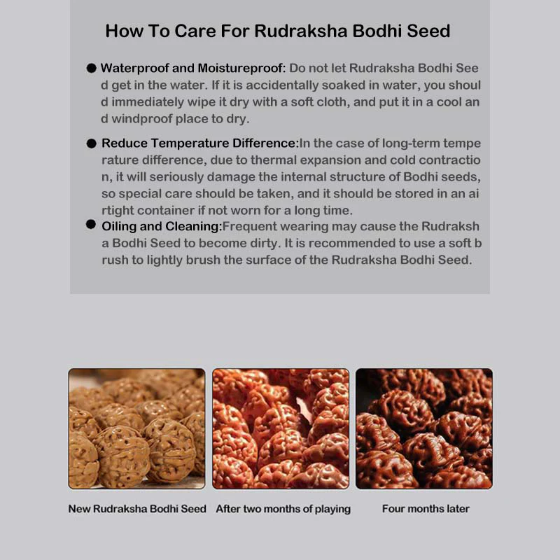 Buddha Stones Tibet Rudraksha Bodhi Seme Ricchezza Auspicio Bracciale - Image 34