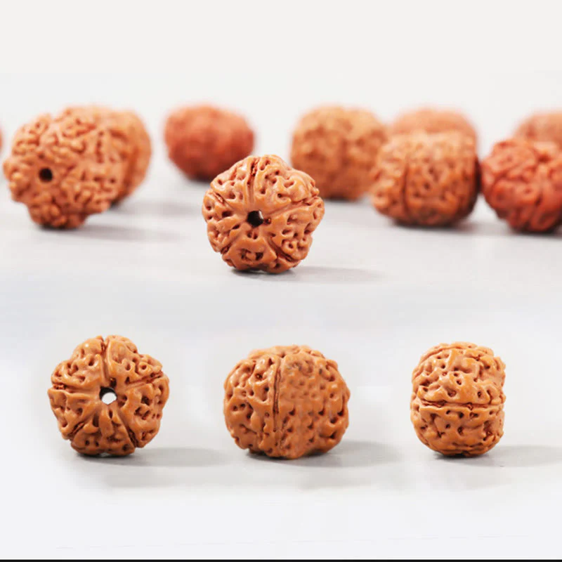 Buddha Stones Tibet Rudraksha Bodhi Seme Ricchezza Auspicio Bracciale - Image 5