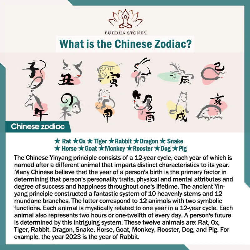 Collana con ciondolo di 12 segni zodiacali cinesi, benedizione, ricchezza e fortuna - Image 29