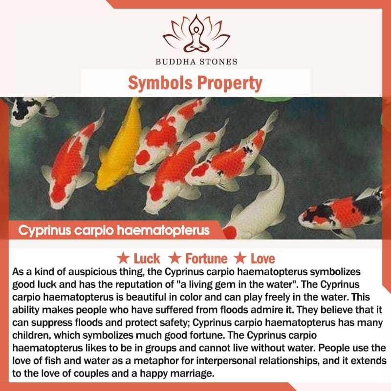 Orecchini FengShui Jade Koi Fortune - Image 8